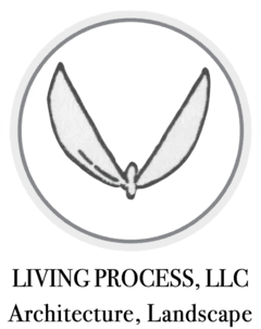 Living Process